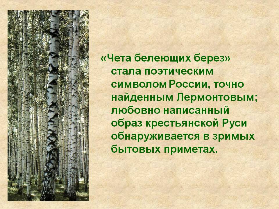 Чета белеющих берез
