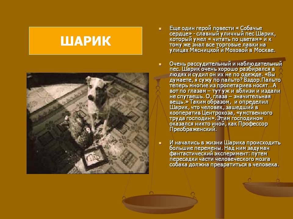 Шарик