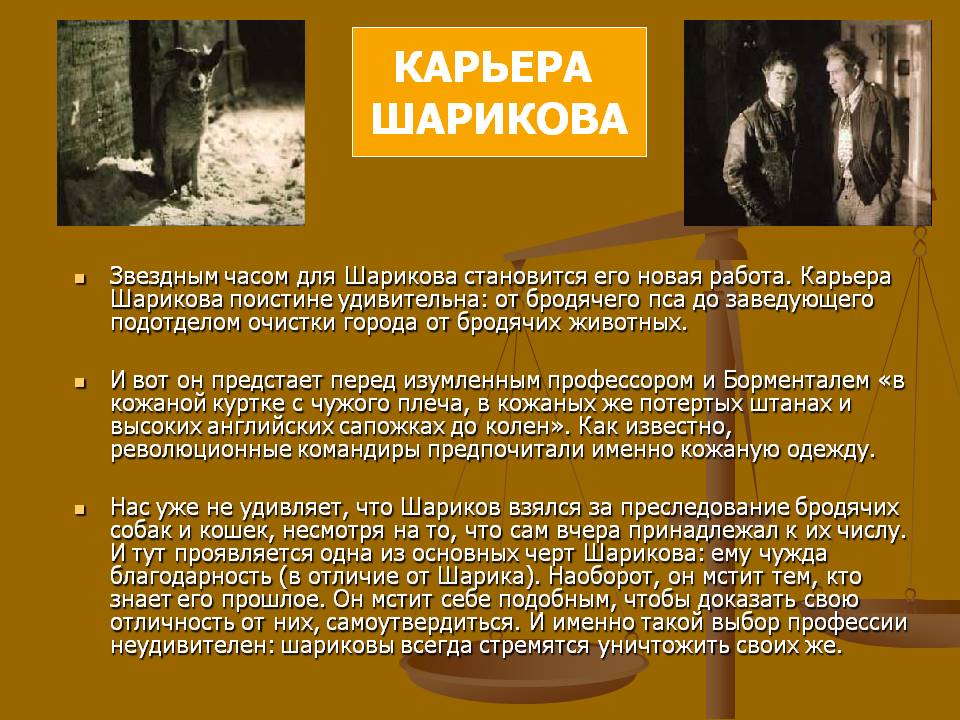 Карьера Шарикова