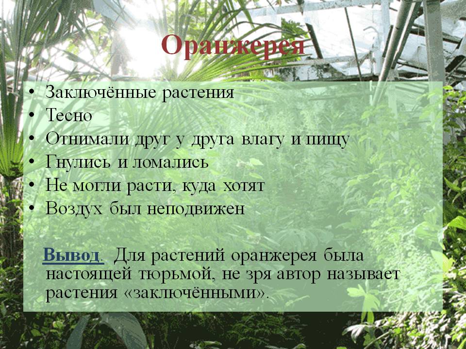 Оранжерея