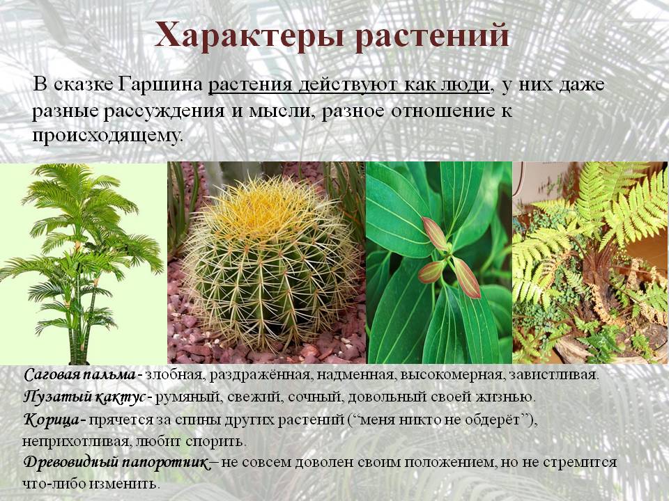 Характеры растений