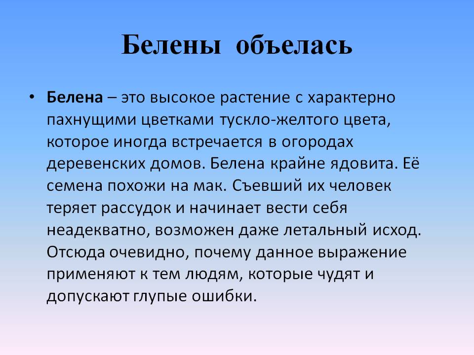 Белены объелась