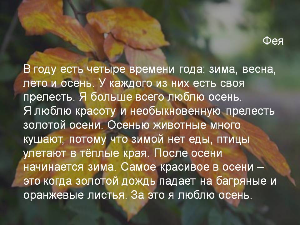 Четыре времени года
