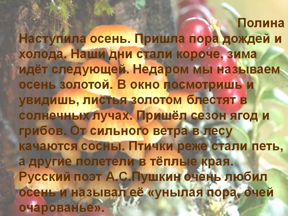 Пришла пора дождей