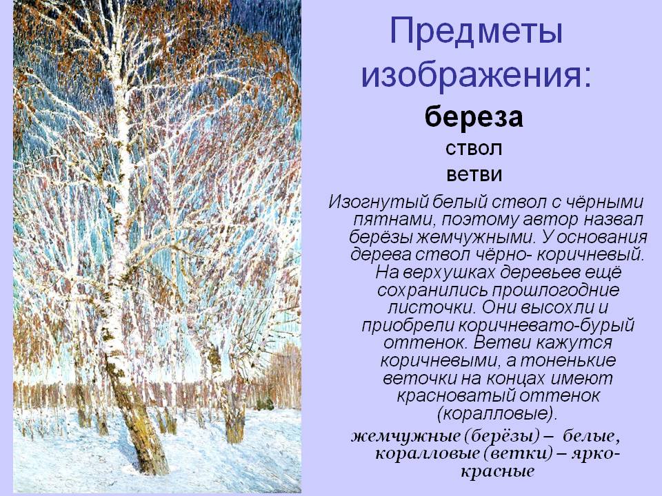 Береза