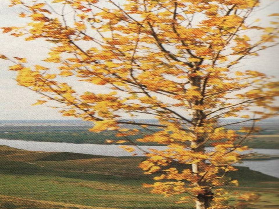 Стихи Сергея Есенина