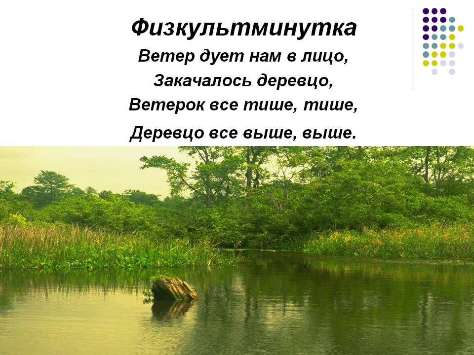Ветер дует нам в лицо