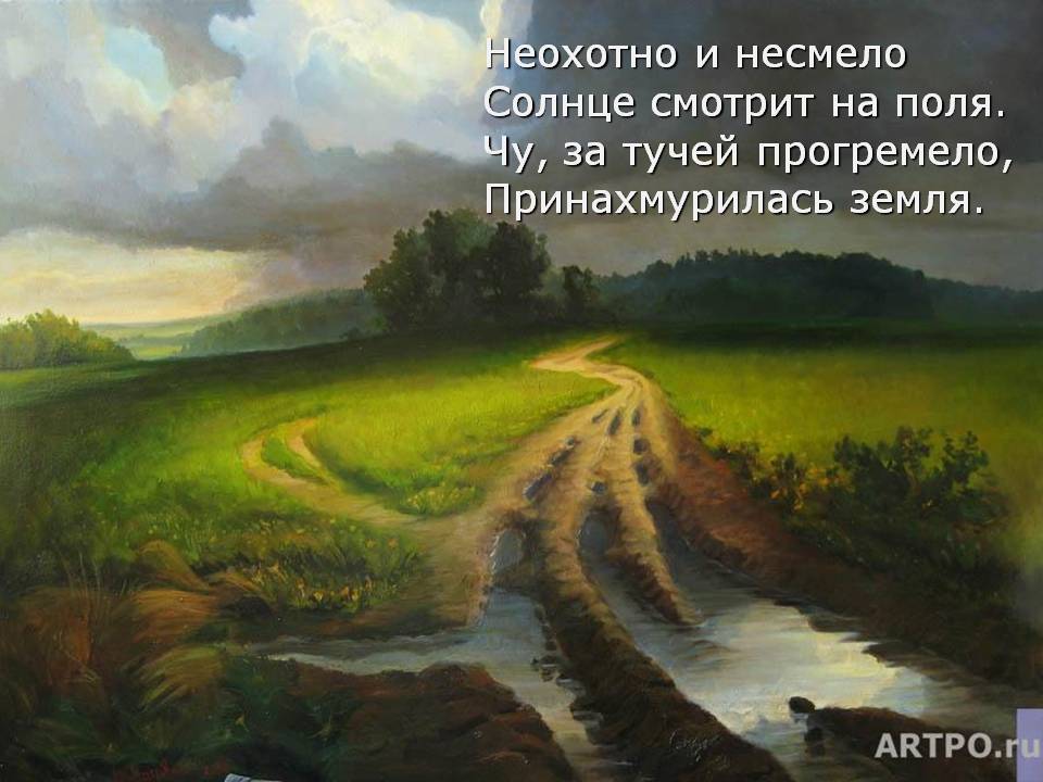 Солнце смотрит на поля
