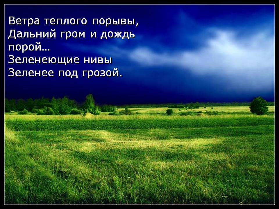 Ветра теплого порывы