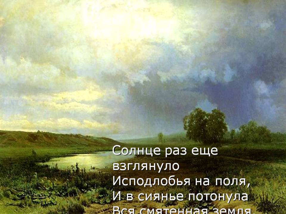 Поля