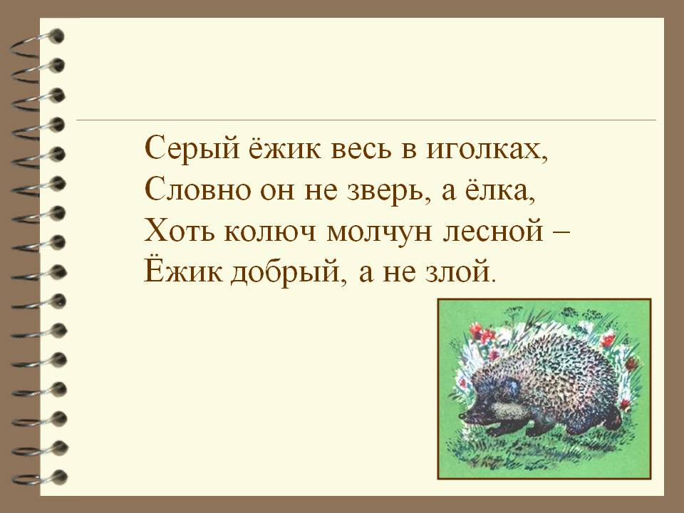 Серый ёжик