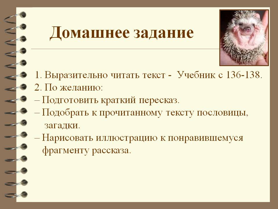 Домашнее задание