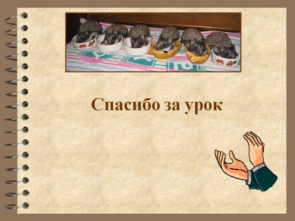 Спасибо за урок