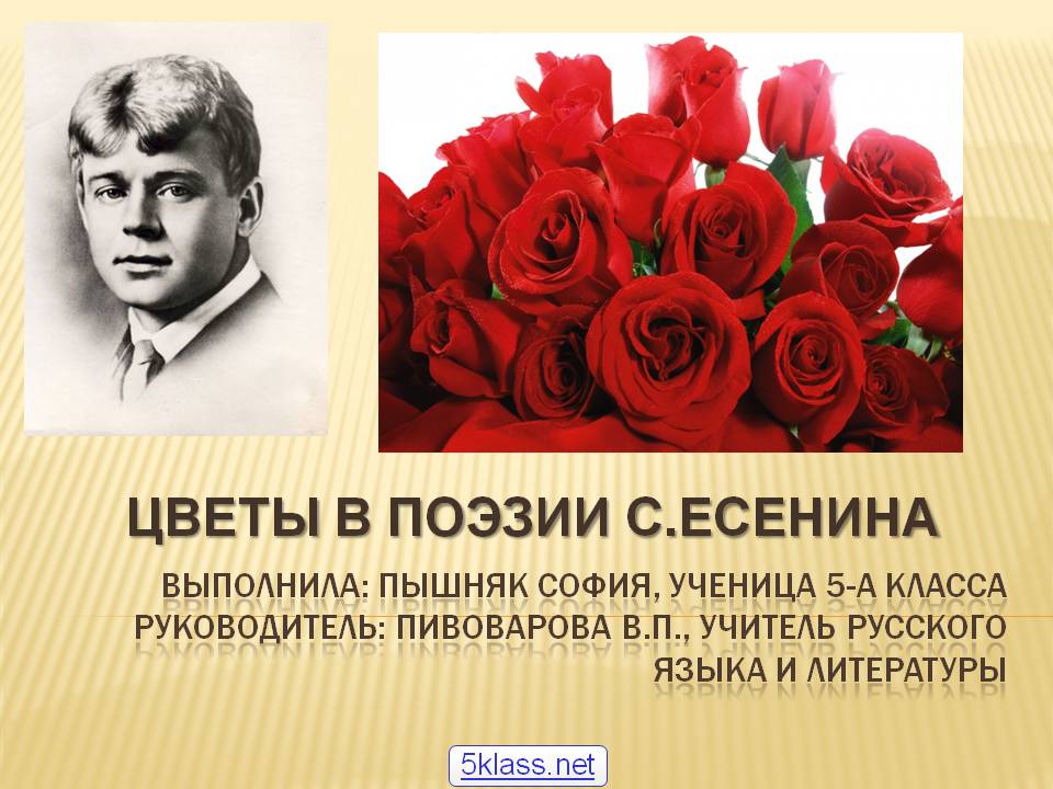 Цветы в поэзии С.Есенина