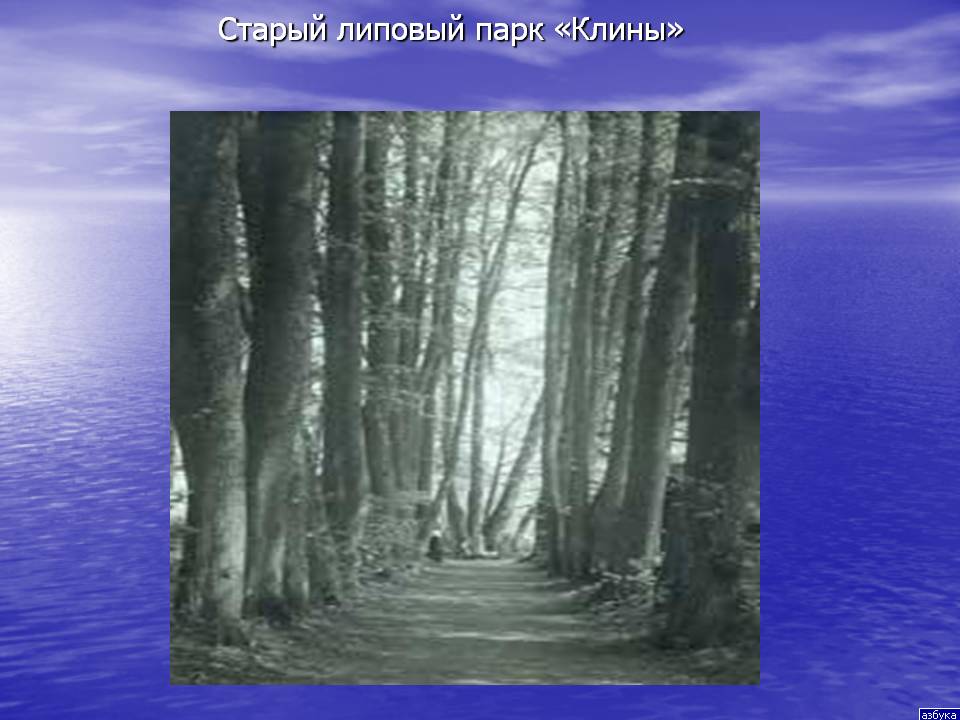 Старый липовый парк «Клины»