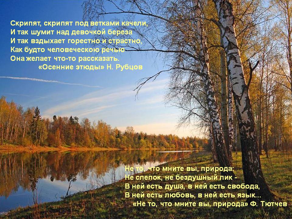 Скрипят, скрипят под ветками качели, и так шумит над девочкой береза