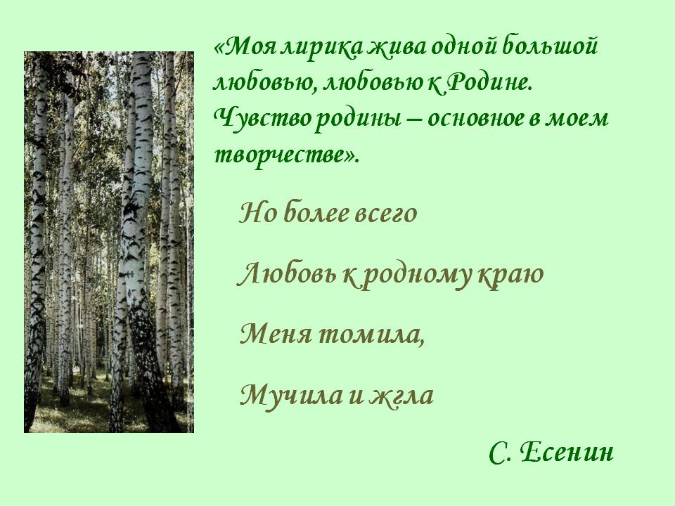 Любовь к родному краю
