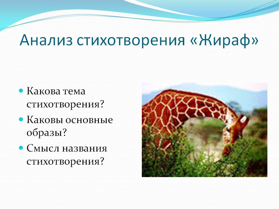 Анализ стихотворения «Жираф»