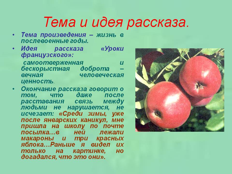 Тема и идея рассказа
