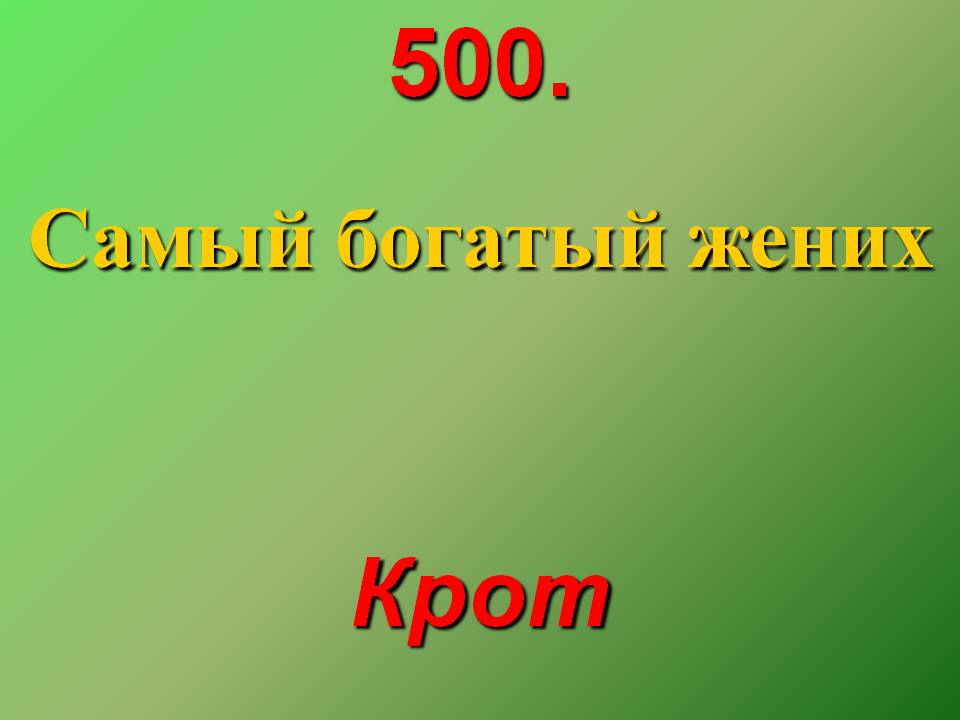 Самый богатый жених