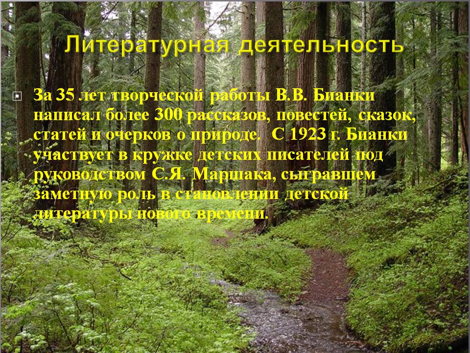 Литературная деятельность