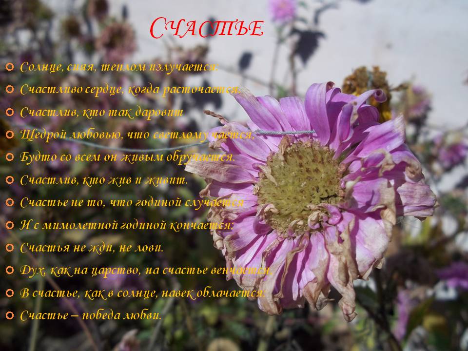 Счастье