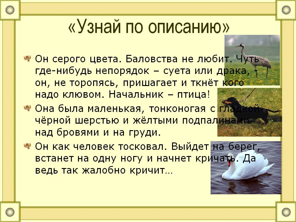 «Узнай по описанию»