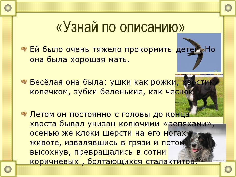 «Узнай по описанию»