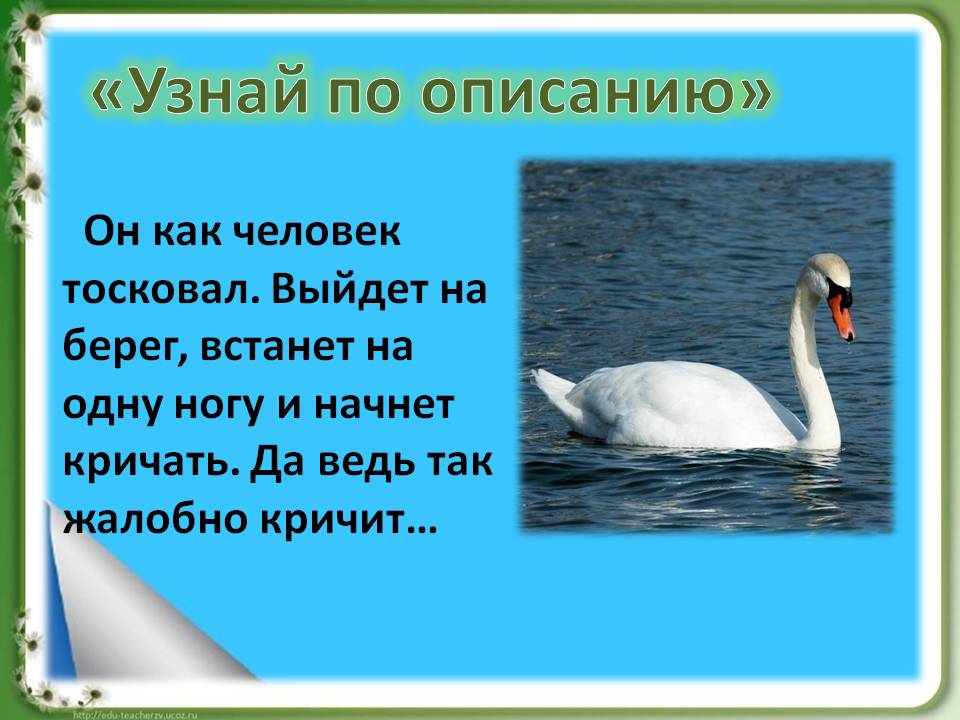 Человек