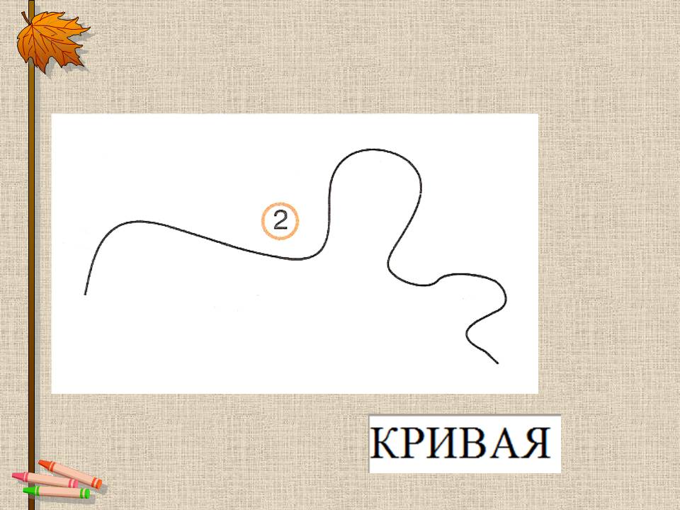 1 класс «Ломаная»