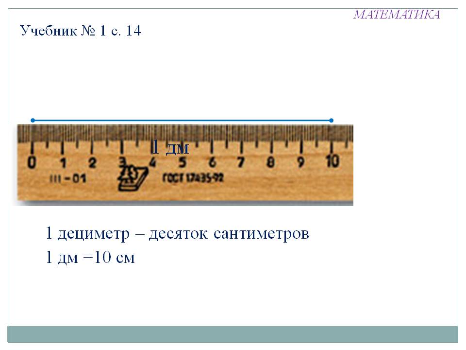 1 дм