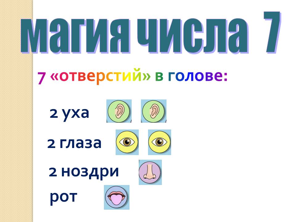 7 «отверстий» в голове
