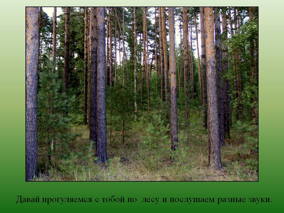 Послушаем разные звуки