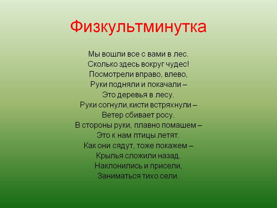 Птицы летят