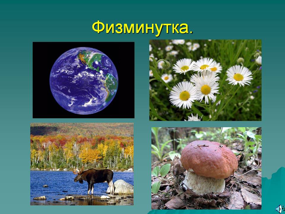 Физминутка