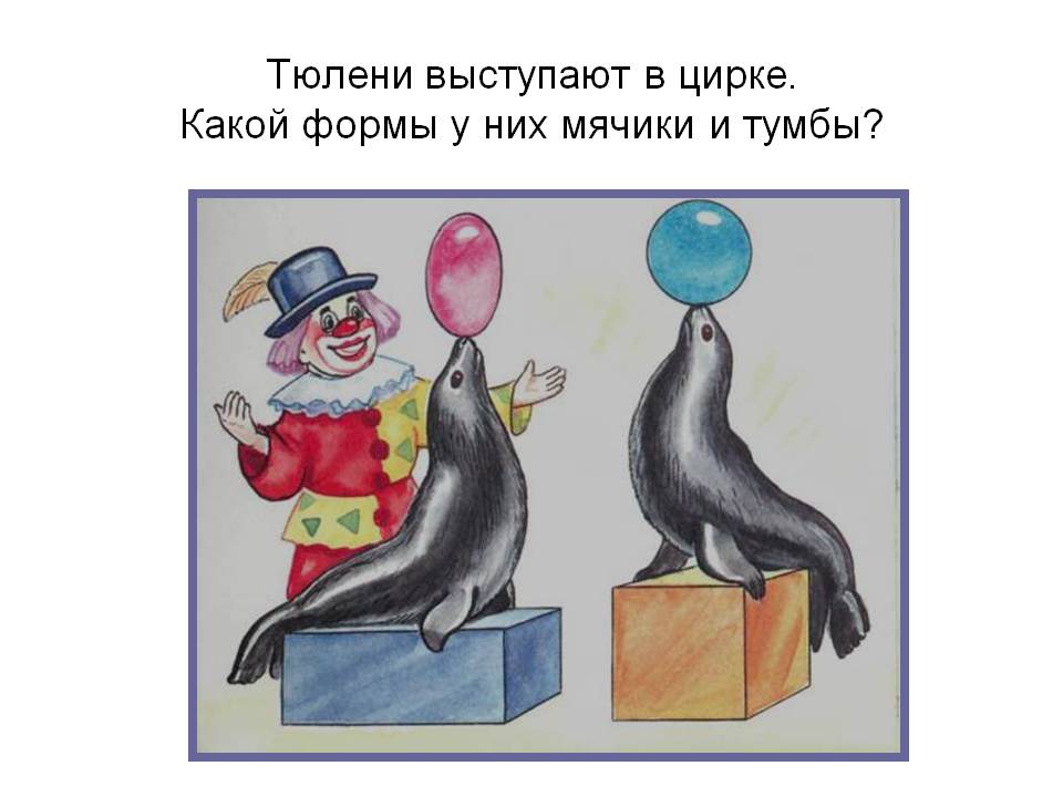 Тюлени выступают в цирке
