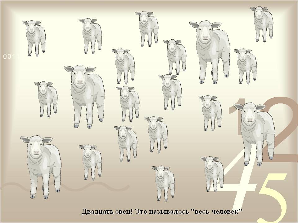 Двадцать овец