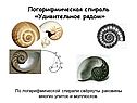 Раковины