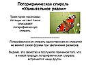 Траектории насекомых