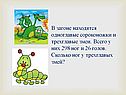 Одноглавые сороконожки