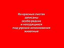 Графическое решение уравнений и неравенств