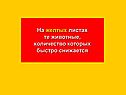 Графическое решение уравнений и неравенств