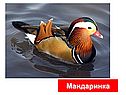 Графическое решение уравнений и неравенств
