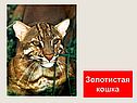 Графическое решение уравнений и неравенств
