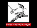 Графическое решение уравнений и неравенств