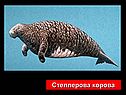 Графическое решение уравнений и неравенств