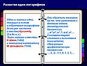 Развитие идеи логарифмов