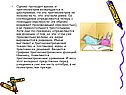 Проходит время, и тригонометрия возвращается к школьникам
