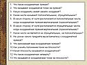 Что такое координатная прямая
