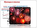 Функции в жизни